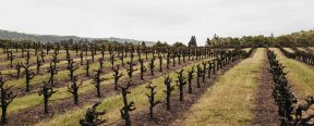 Serres Ranch Fields